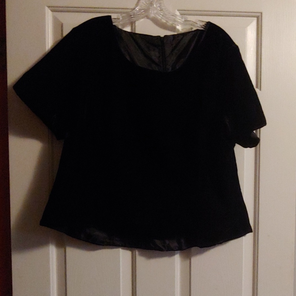 Women's Accents Black Velvet Top, Size 22
